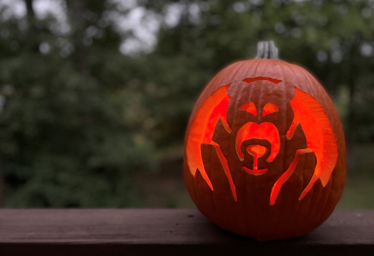 Carved jack o' lantern with a bear image