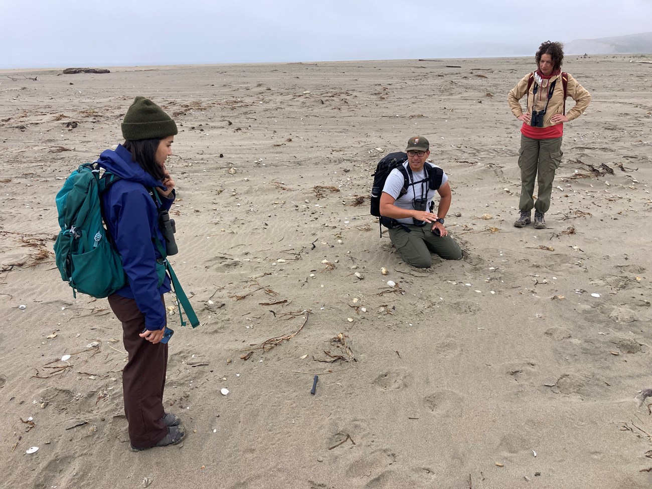 Examining the nest site Three people with binoculars converse as one of them kneels on the ground on an expansive stretch of sand.
