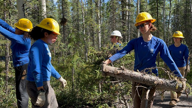 Five women in hard hats carry downed logs and brush in a forested area