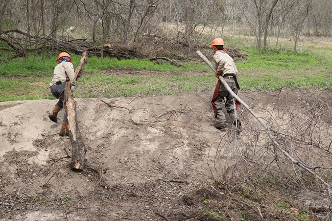 Interns carry large brush out of the historic acequia ditch.