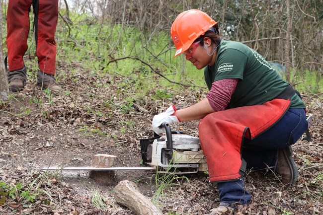 Apprentice Yukary squats to use a chainsaw in a wooded area.
