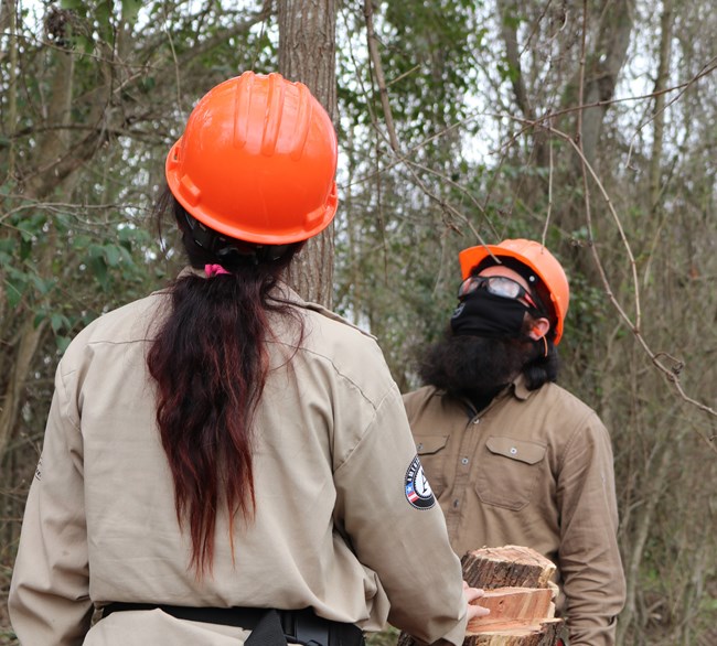 Karli and a teammate in hard hats looking up at treetops