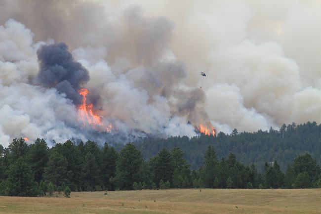high distant flames burn a tract of forest with a large amount of smoke while a helicopter with a bucket flies nearby