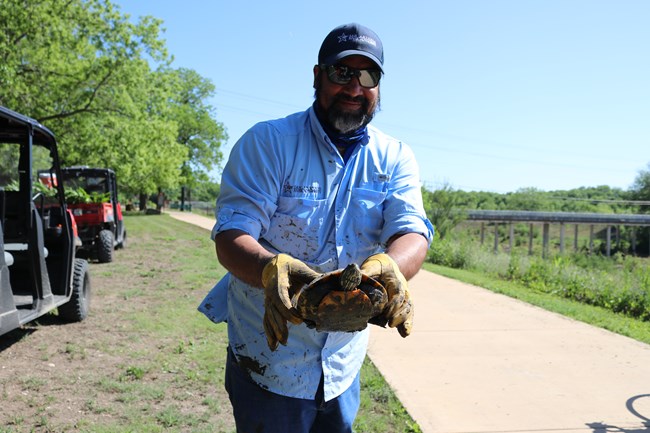 Man in light blue shirt holds and adult red-eared slider turtle toward the camera.