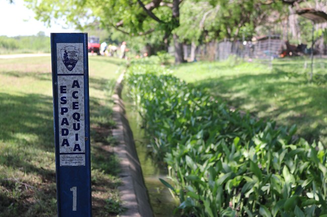 In foreground, vertical metal sign reads "Espada Acequia." In background, acequia ditch clogged with Arrowhead plants stretches into distance.