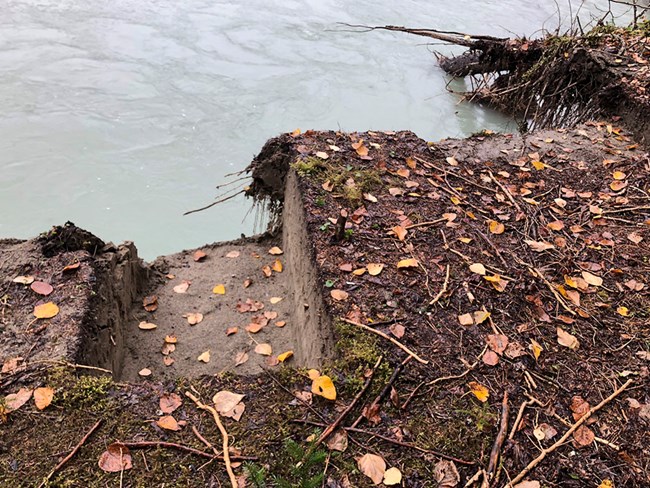 An archeological site dig is washed away on an eroding river bank.