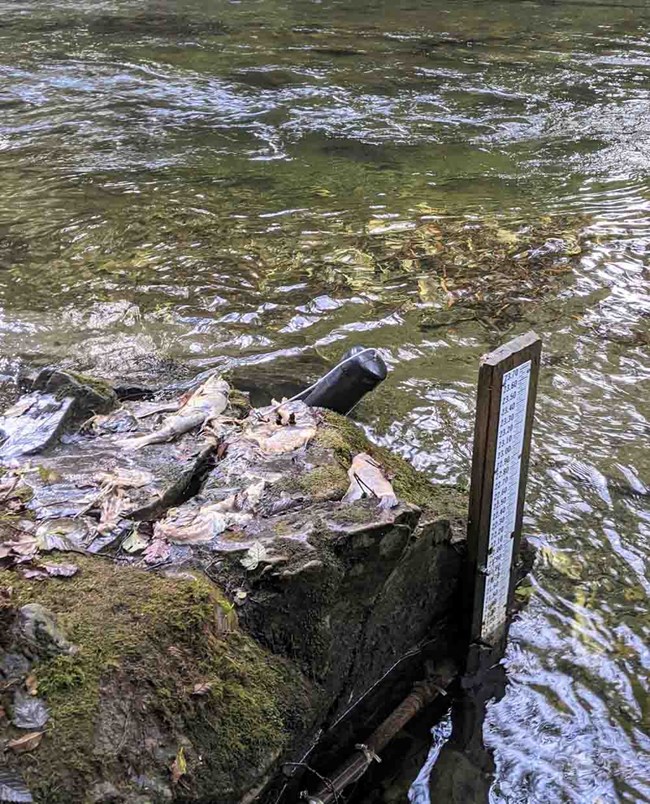 A pipe sticking out of the river is a sonde, measuring water quality.