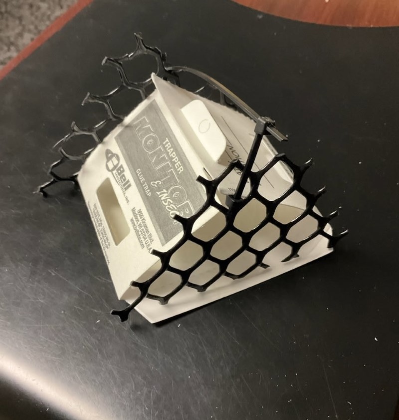 Pest sticky trap with chicken wire fencing on the open edges.