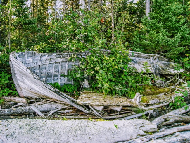 lifeboat of the SS Emperor, washed ashore with vegetation growing from it