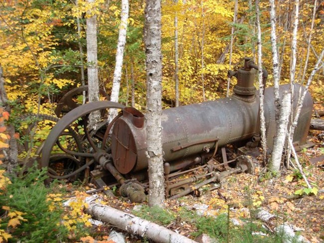 massive hoist engine sitting in the forest