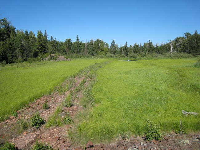 railroad bed still visible after a century of disuse