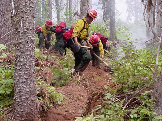 Fireline Crew fireline crew headed down the trail with axes