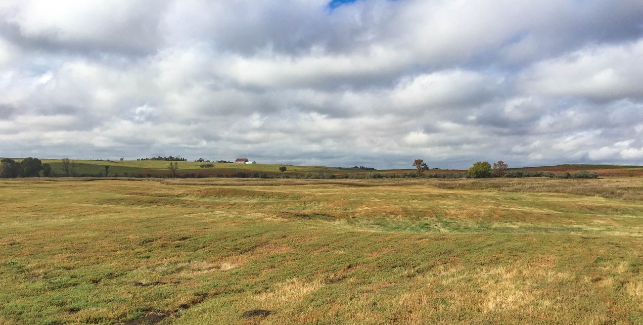 Grassy landscape with horizon and cloudy skies