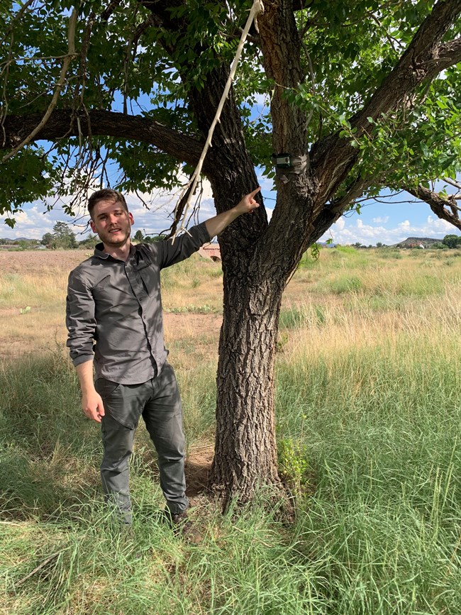 Wesley taking a measurement of a tree