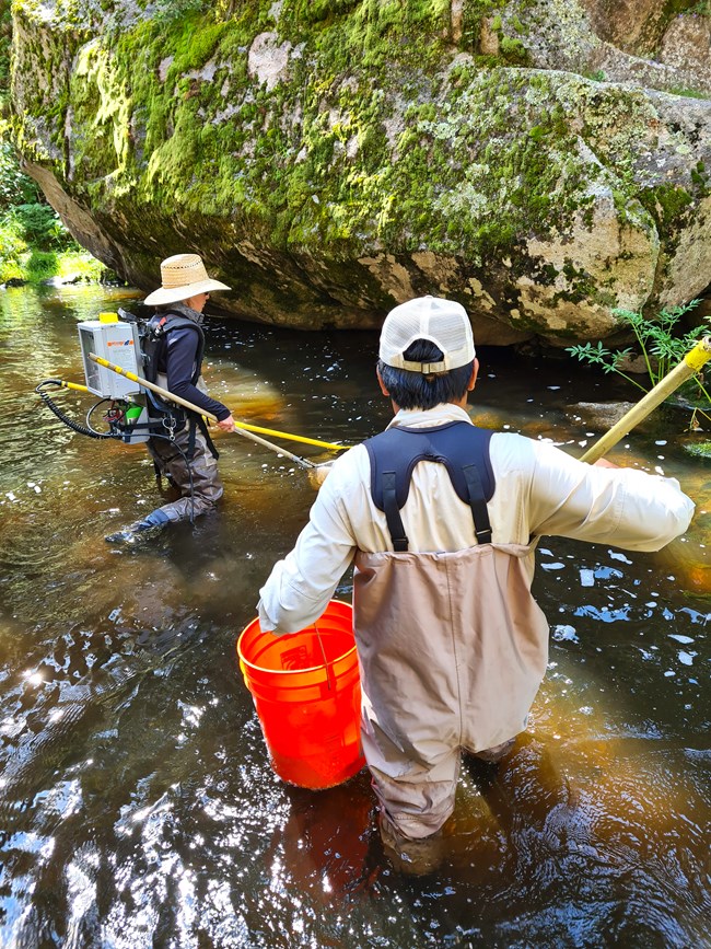 lt= Two scientists carrying gear while wading in shallow water
