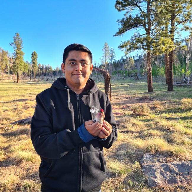 Erwin Lopez Osario holding a Cassin's finch