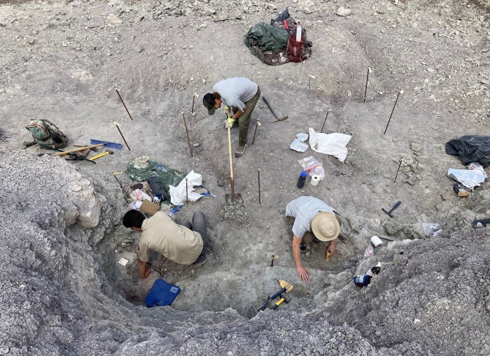 a group of people working in a fossil quarry