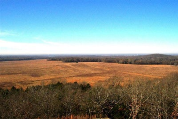 Image of field for hay Overlook Image of trees in the far off distance hay field in the middle and trees up close.