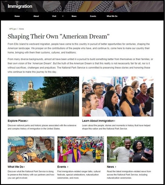 Immigration Site Screenshot Border screenshot of main page of website about immigration with the title "shaping their own american dream"