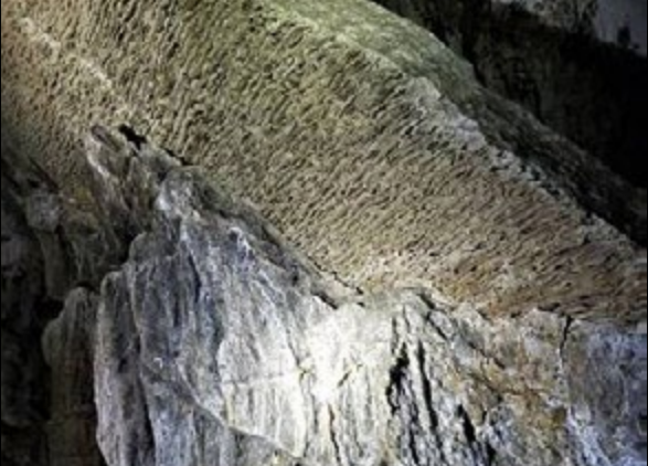 A picture of a broken shield showing the what is inside of a cave shield