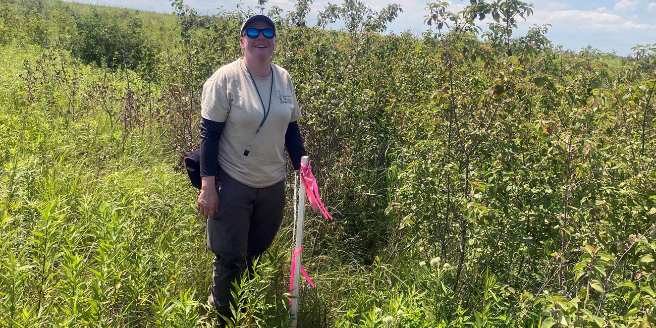 A scientist standing next to a flagged pole in a prairie with tall plants and tree seedlings