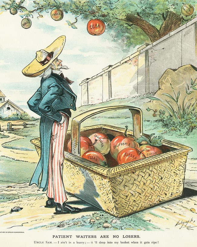 Illustration of Uncle Sam standing in front of basket of apples looking up at one labeled Hawaii