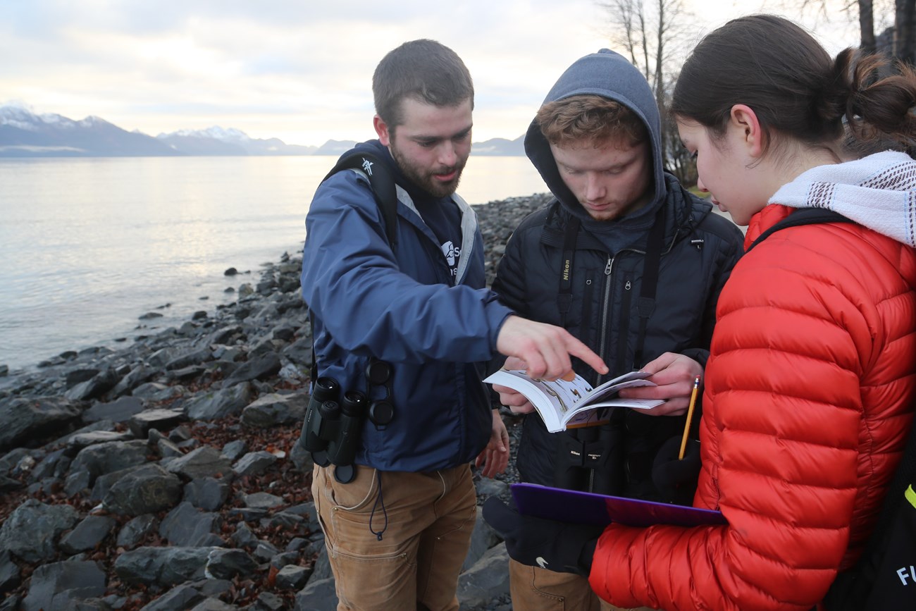 Two Seward High School students and a mentor work through a field guide to determine the identification of a seabird they observed.