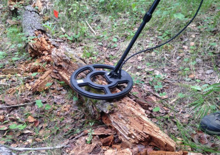 Detecting salamanders Using a detector to search for a previously captured salamander that was implanted with a Passive Integrated Transponder (PIT) tag.
