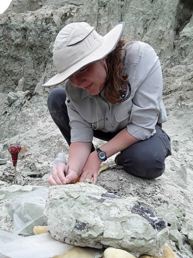 Person kneeling in fossil quarry working with small tools to remove rock matrix from a fossil.