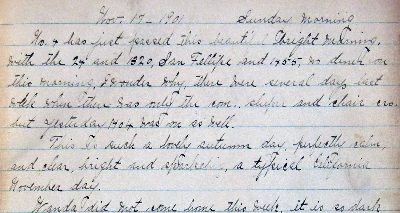 Helen Muir's diary Handwritten manuscript journal dated Sunday morning, Nov. 17, 1901