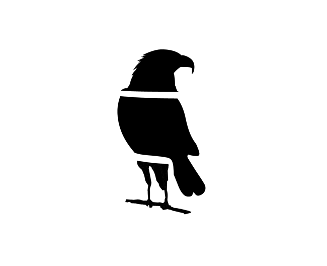 black silhouette of a bird with mismatched head, torso and feet