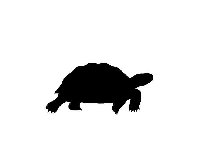 black silhouette of a turtle walking