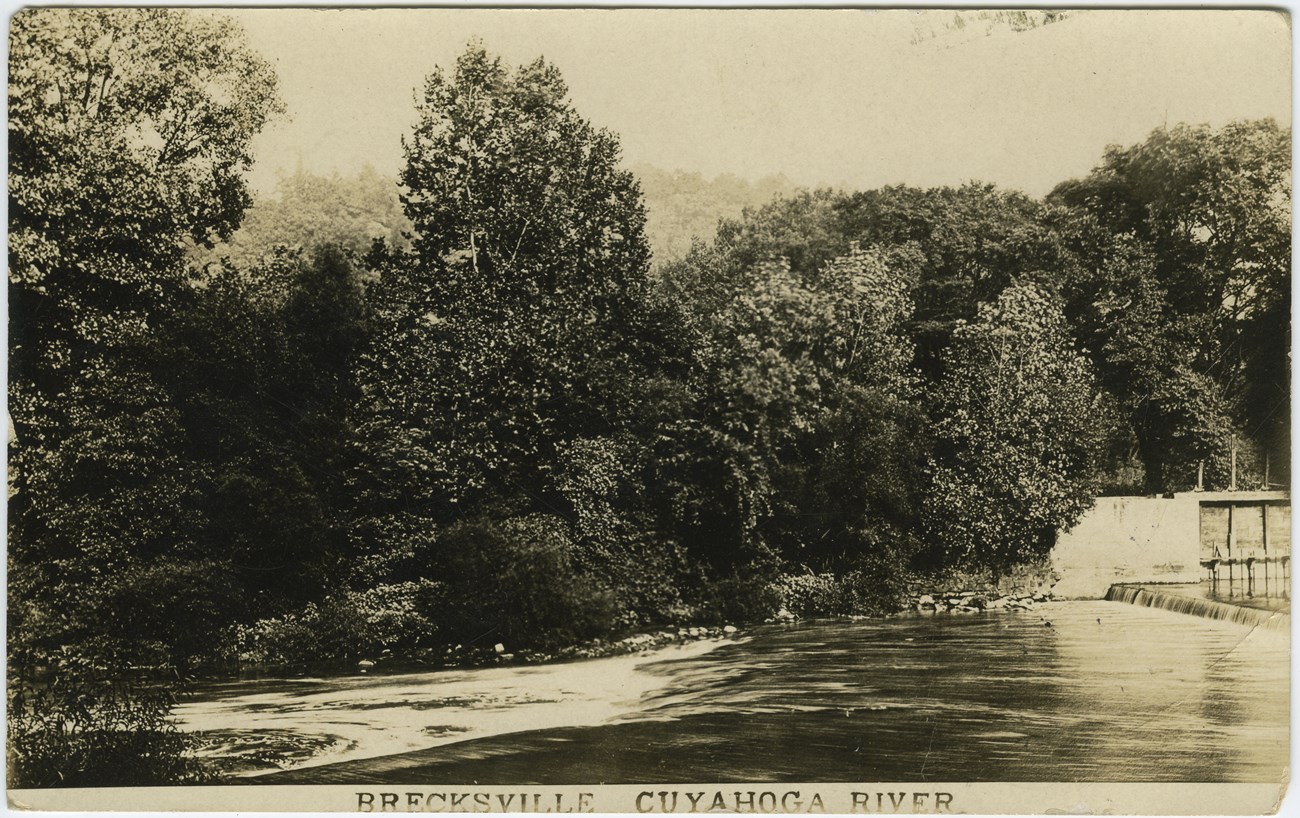 A black-and-white photo of trees along the riverbank; water flowing over a portion of a dam is visible to the right.