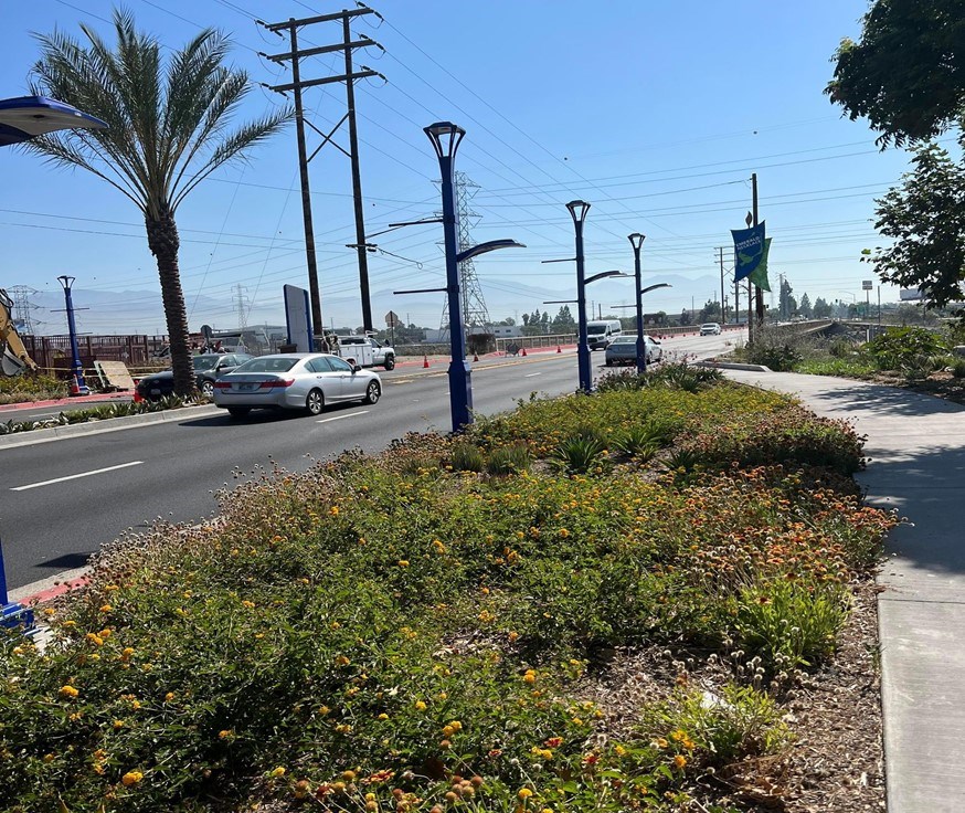 La Primaria in El Monte, CA features abundant drought-tolerant, native plants. Blue lamp posts line the edge of the street, with one whose banner reads Emerald Necklace. Photo credit: NPS.