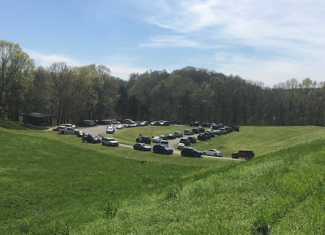 About 100 cards parked along a side road loop surrounded by grass and green trees.