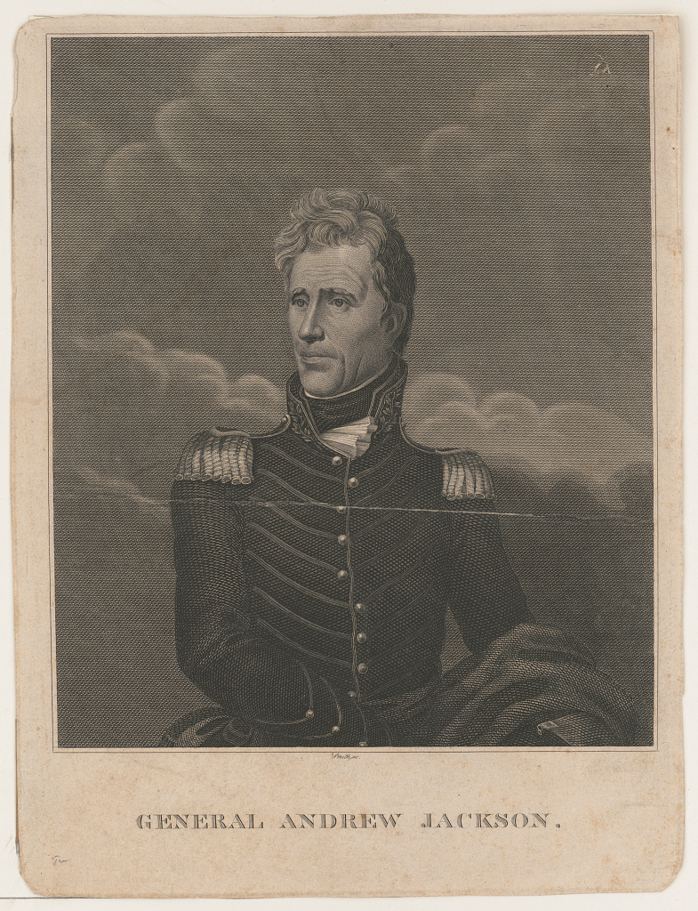 An image of Andrew Jackson dressed in formal military regalia.