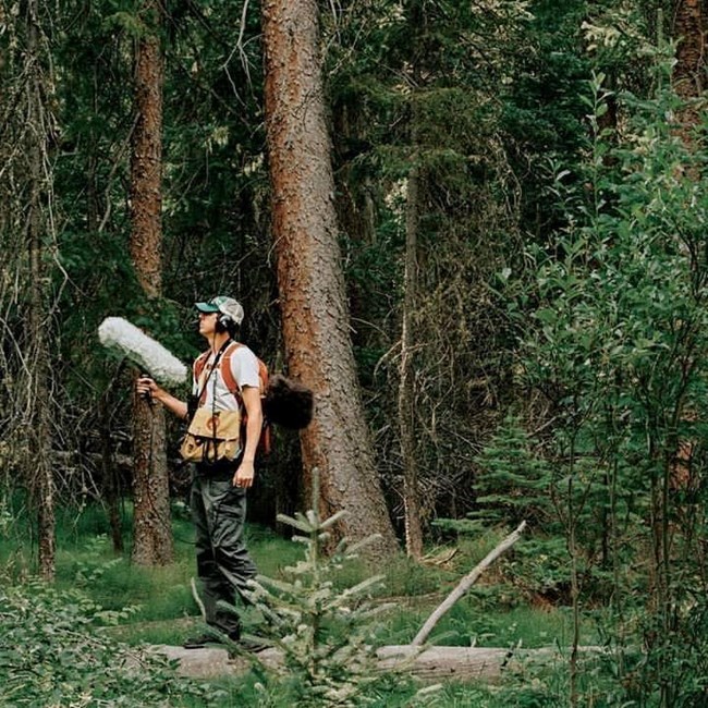 Summer scene of Jacob Job recording in a forest at Wild Basin, Rocky Mountain National Park, Colorado.