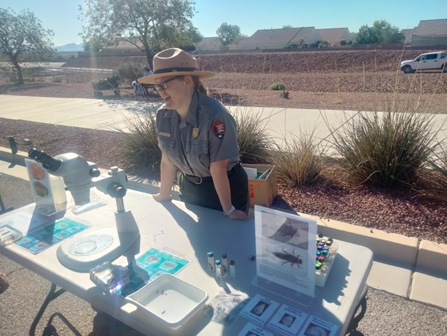 Woman in National Park Service uniform leans forward over display table with microscope and insect displays to talk with a visitor.