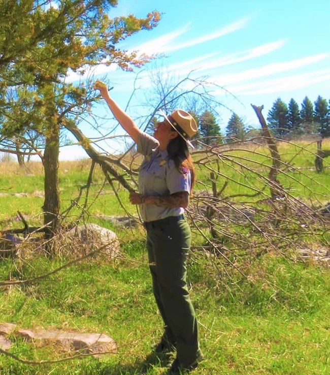 Jessica Arkeketa in uniform outside looking up at a tree