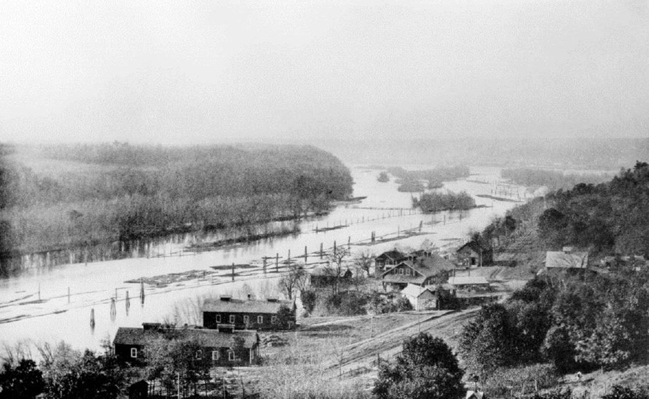 Black and white photo of a river with trees on both sides and buildings on one side.