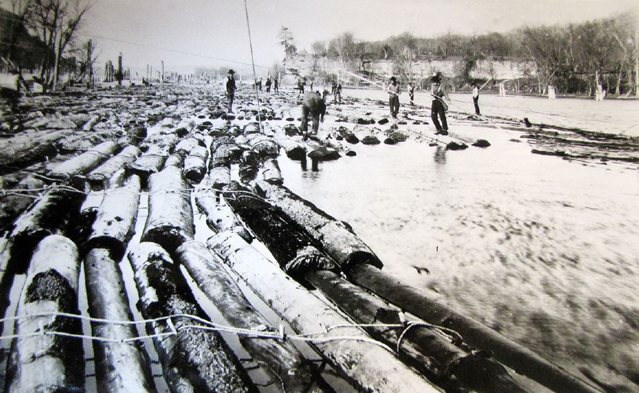 Black and white photograph a men standing on logs in a river