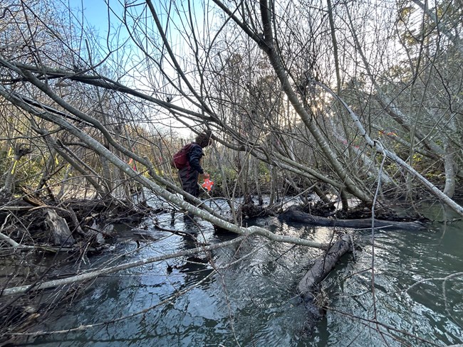 Joseph habitat mapping An individual in a wetland