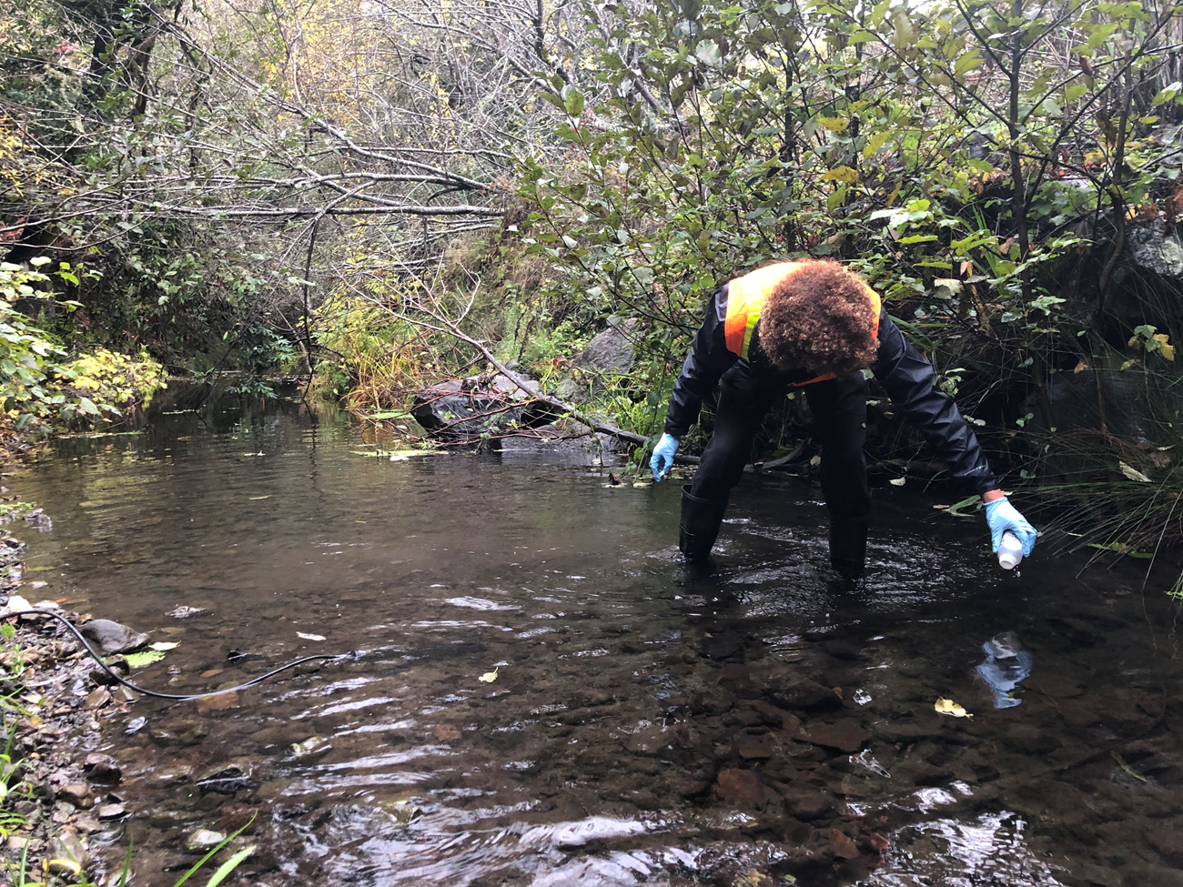 An individual collecting water samples