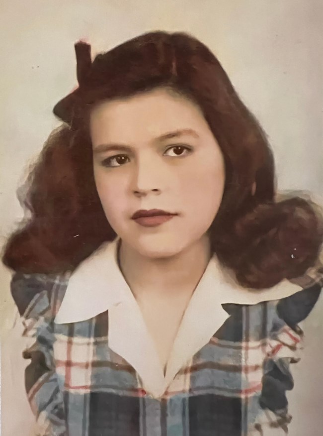 Hand colored portrait of a girl with a wavy, chestnut hair; a white shirt; and a plaid dress.