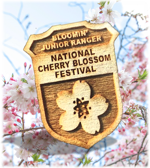 Jr-Ranger-Badge-Blossoms_3 Cherry blossom Junior Ranger badge over a photo of cherry blossoms