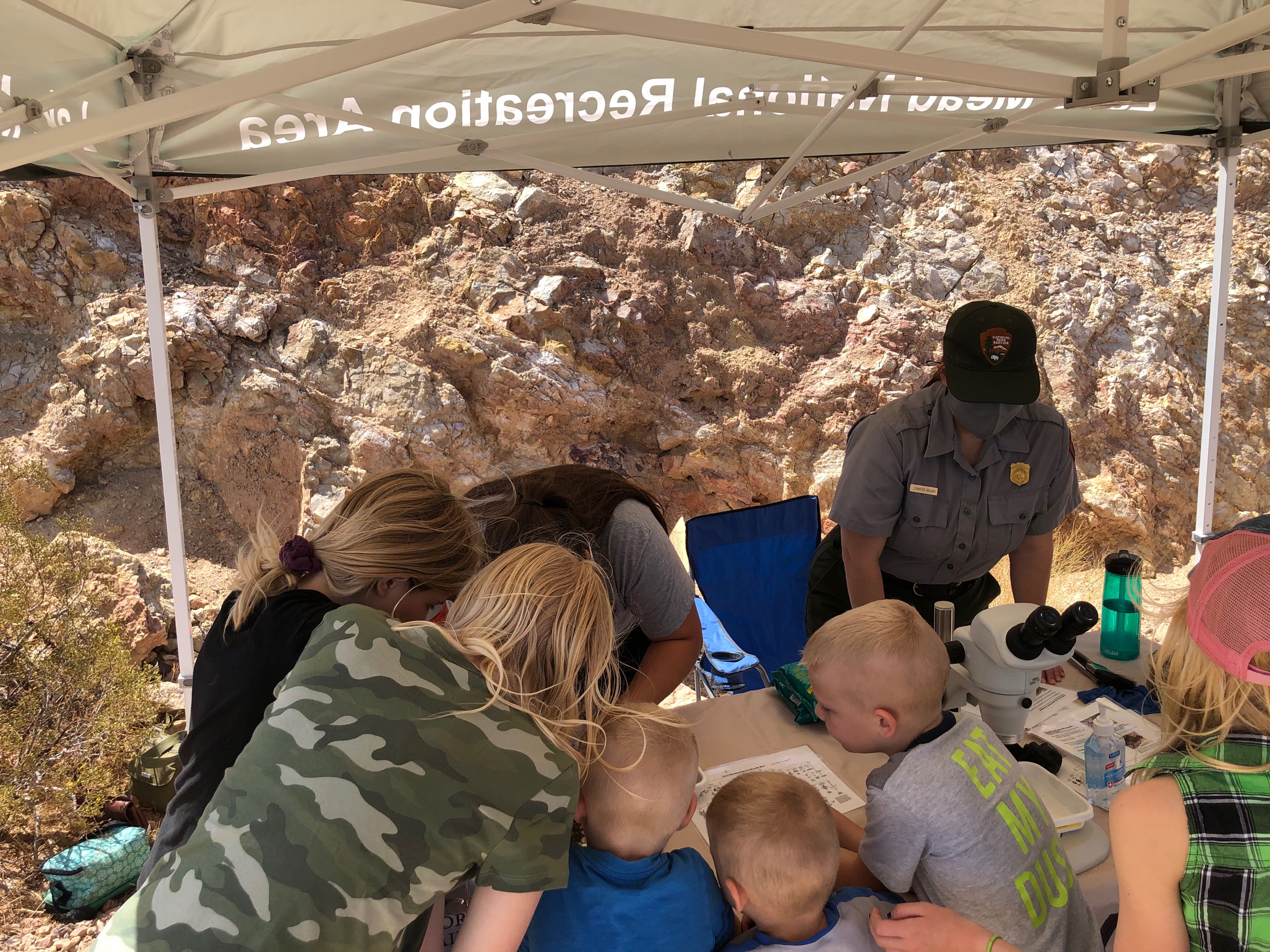 Mojave Desert Network scientists host "bug booth" at Lake Mead Junior Ranger Day Six children viewed from back peering intently at a tray of aquatic organisms shared by NPS scientists at a table.