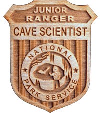 child's wooden junior ranger badge