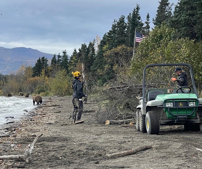 BLM AFS Smokejumpers and Katmai bears Two people stand near a pile of woody debris while bears walk along the beach in the background