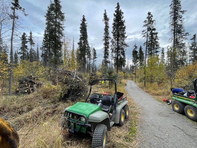 Future burn piles with the dead and down spruce trees removed along the Falls Trail at Katmai National Park & Preserve Four-wheelers parked in front of multiple piles of woody debris in a forested area