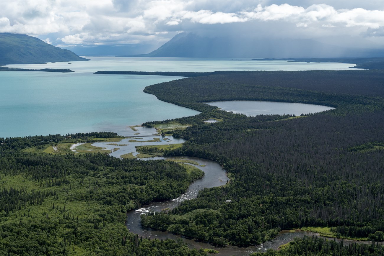 Aerial view of Brooks Camp landscape where the Brooks River winds and widens at the entrance to a lake, framed by conifer forest and mountains..